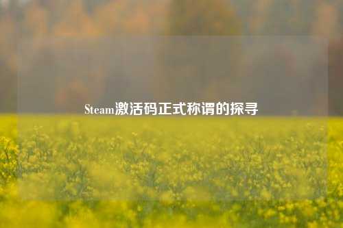 Steam激活码正式称谓的探寻