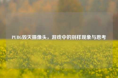 PUBG毁灭摄像头,游戏中的别样现象与思考