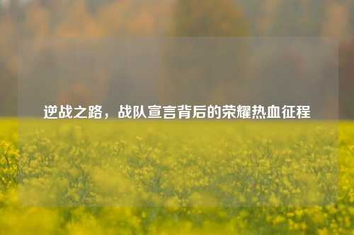 逆战之路，战队宣言背后的荣耀热血征程