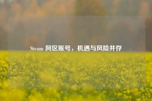 Steam 阿区账号，机遇与风险并存