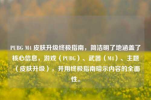 PUBG M4 皮肤升级终极指南,简洁明了地涵盖了核心信息,游戏(PUBG)、武器(M4)、主题(皮肤升级),并用终极指南暗示内容的全面性。
