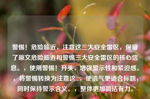 警惕！危险临近，注意这三大安全雷区，保留了原文危险临近和警惕三大安全雷区的核心信息。，使用警惕！开头，增强警示性和紧迫感。，将警惕转换为注意这...，使语气更适合标题，同时保持警示含义。，整体更加简洁有力。