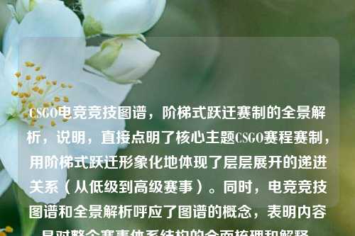 CSGO电竞竞技图谱，阶梯式跃迁赛制的全景解析，说明，直接点明了核心主题CSGO赛程赛制，用阶梯式跃迁形象化地体现了层层展开的递进关系（从低级到高级赛事）。同时，电竞竞技图谱和全景解析呼应了图谱的概念，表明内容是对整个赛事体系结构的全面梳理和解释。