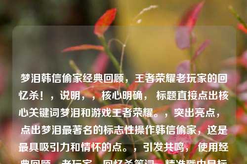 梦泪韩信偷家经典回顾，王者荣耀老玩家的回忆杀！，说明，，核心明确， 标题直接点出核心关键词梦泪和游戏王者荣耀。，突出亮点， 点出梦泪最著名的标志性操作韩信偷家，这是最具吸引力和情怀的点。，引发共鸣， 使用经典回顾、老玩家、回忆杀等词，精准戳中目标观众（老玩家）的情怀。，吸引力强， 回忆杀和感叹号能激发观众的怀旧情绪和点击欲。