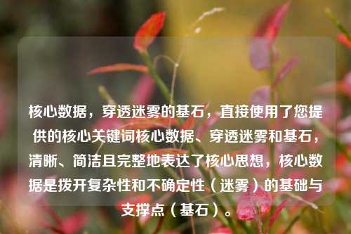 核心数据，穿透迷雾的基石，直接使用了您提供的核心关键词核心数据、穿透迷雾和基石，清晰、简洁且完整地表达了核心思想，核心数据是拨开复杂性和不确定性（迷雾）的基础与支撑点（基石）。