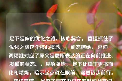 足下延伸的优化之路，核心契合， 直接抓住了优化之路这个核心概念。，动态描绘， 延伸一词精准对应了原文延展所表达的正在向前推进、发展的状态。，具象凝练， 足下比脚下更书面化和精炼，暗示起点就在眼前、需要迈步前行。，结构简洁， 省略了原文中已在的时间状态词，让标题更紧凑有力，同时延伸本身就包含了正在进行的意思。，它高度浓缩了原句的精髓，表达了优化进程已经开始并正在持续向前发展的核心含义。