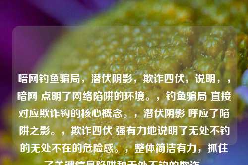 暗网钓鱼骗局，潜伏阴影，欺诈四伏，说明，，暗网 点明了网络陷阱的环境。，钓鱼骗局 直接对应欺诈钩的核心概念。，潜伏阴影 呼应了陷阱之影。，欺诈四伏 强有力地说明了无处不钓的无处不在的危险感。，整体简洁有力，抓住了关键信息陷阱和无处不钓的欺诈。