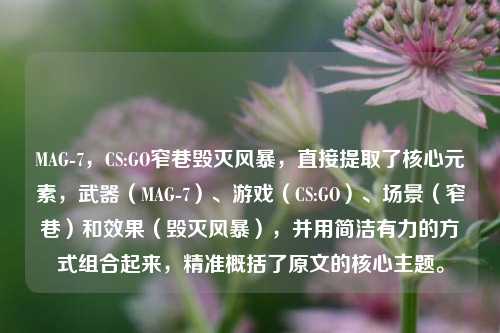 MAG-7，CS:GO窄巷毁灭风暴，直接提取了核心元素，武器（MAG-7）、游戏（CS:GO）、场景（窄巷）和效果（毁灭风暴），并用简洁有力的方式组合起来，精准概括了原文的核心主题。