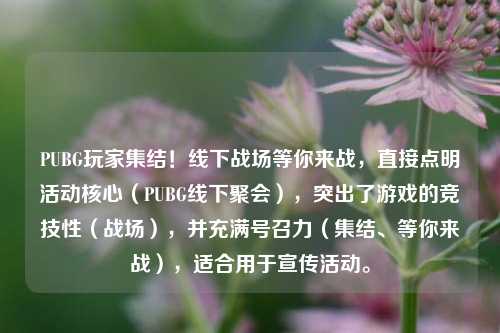 PUBG玩家集结！线下战场等你来战，直接点明活动核心（PUBG线下聚会），突出了游戏的竞技性（战场），并充满号召力（集结、等你来战），适合用于宣传活动。