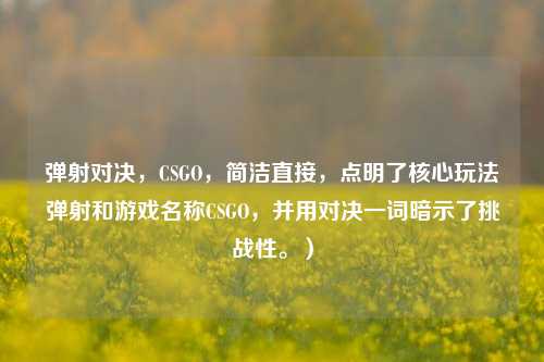 弹射对决,CSGO,简洁直接,点明了核心玩法弹射和游戏名称CSGO,并用对决一词暗示了挑战性。)