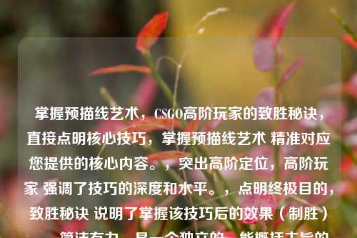 掌握预描线艺术，CSGO高阶玩家的致胜秘诀，直接点明核心技巧，掌握预描线艺术 精准对应您提供的核心内容。，突出高阶定位，高阶玩家 强调了技巧的深度和水平。，点明终极目的，致胜秘诀 说明了掌握该技巧后的效果（制胜）。，简洁有力，是一个独立的、能概括主旨的标题。