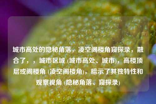 城市高处的隐秘角落，凌空阁楼角窥探录，融合了，，城市区域 (城市高处、城市)，高楼顶层或阁楼角 (凌空阁楼角)，暗示了其独特性和观察视角 (隐秘角落、窥探录)
