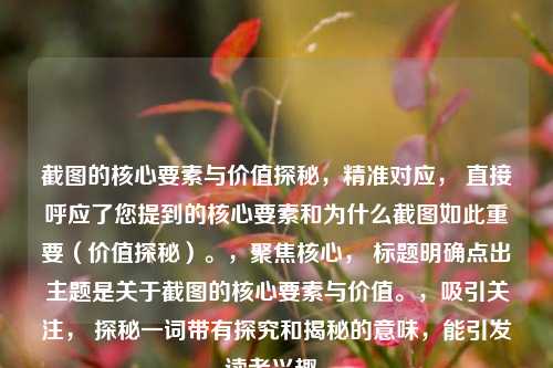 截图的核心要素与价值探秘,精准对应, 直接呼应了您提到的核心要素和为什么截图如此重要(价值探秘)。,聚焦核心, 标题明确点出主题是关于截图的核心要素与价值。,吸引关注, 探秘一词带有探究和揭秘的意味,能引发读者兴趣。