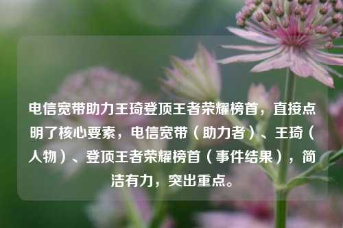 电信宽带助力王琦登顶王者荣耀榜首，直接点明了核心要素，电信宽带（助力者）、王琦（人物）、登顶王者荣耀榜首（事件结果），简洁有力，突出重点。