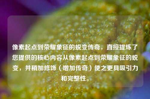 像素起点到荣耀象征的蜕变传奇,直接提炼了您提供的核心内容从像素起点到荣耀象征的蜕变,并稍加修饰(增加传奇)使之更具吸引力和完整性。