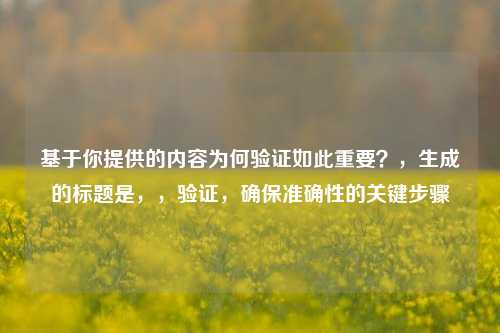 基于你提供的内容为何验证如此重要？，生成的标题是，，验证，确保准确性的关键步骤