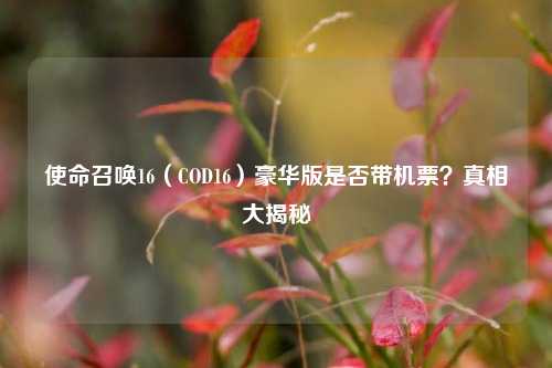 使命召唤16（COD16）豪华版是否带机票？真相大揭秘