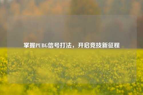 掌握PUBG信号打法，开启竞技新征程