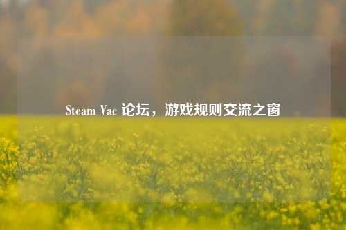 Steam Vac 论坛,游戏规则交流之窗