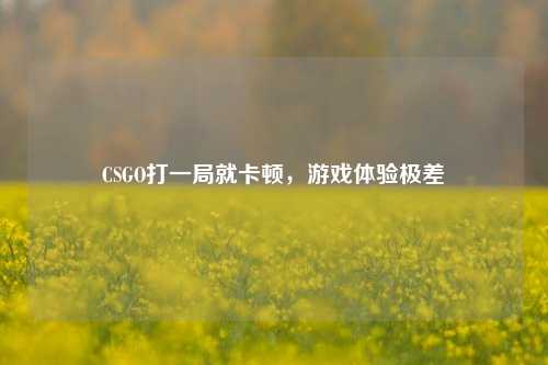 CSGO打一局就卡顿，游戏体验极差