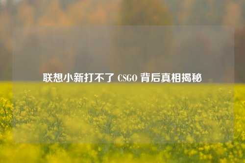 联想小新打不了 CSGO 背后真相揭秘