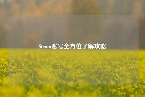 Steam账号全方位了解攻略