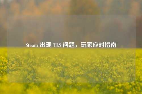 Steam 出现 TLS 问题，玩家应对指南