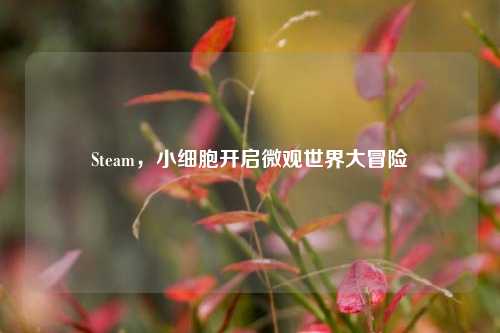 Steam，小细胞开启微观世界大冒险