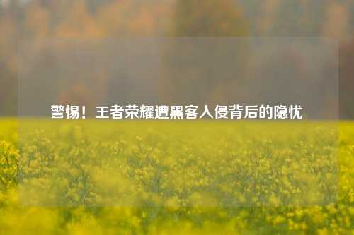 警惕!王者荣耀遭黑客入侵背后的隐忧