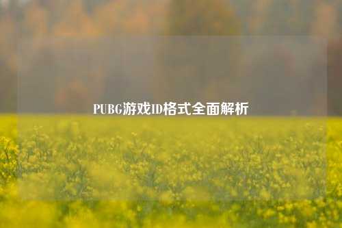 PUBG游戏ID格式全面解析