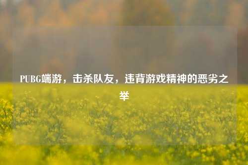 PUBG端游，击杀队友，违背游戏精神的恶劣之举