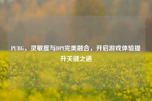 PUBG,灵敏度与DPI完美融合,开启游戏体验提升关键之道