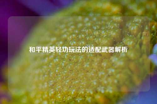 和平精英轻功玩法的适配武器解析