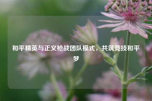 和平精英与正义枪战团队模式，共筑竞技和平梦