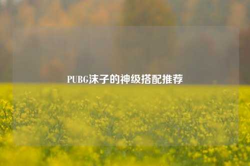 PUBG沫子的神级搭配推荐