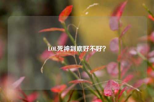LOL死神到底好不好？