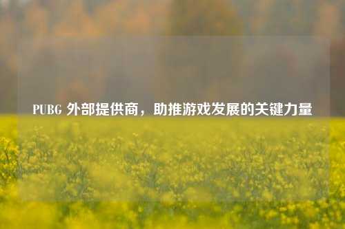PUBG 外部提供商，助推游戏发展的关键力量