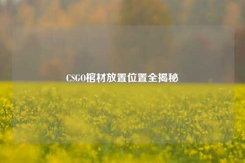CSGO棺材放置位置全揭秘