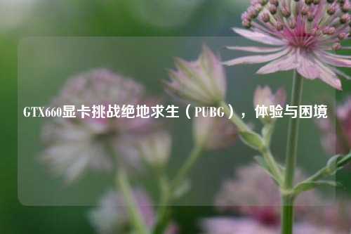 GTX660显卡挑战绝地求生（PUBG），体验与困境