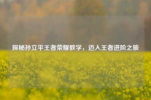 探秘孙立平王者荣耀教学,迈入王者进阶之旅