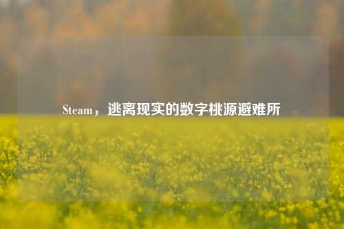 Steam,逃离现实的数字桃源避难所