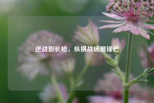 逆战影长枪，纵横战场展锋芒