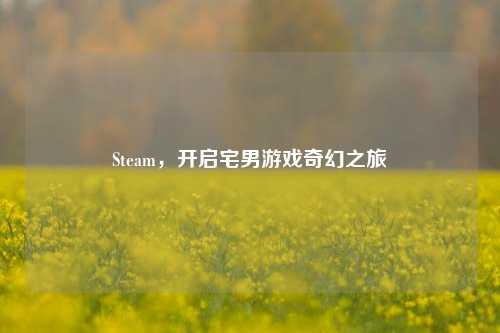 Steam，开启宅男游戏奇幻之旅