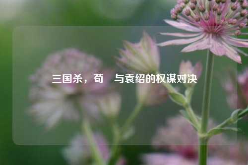 三国杀,荀彧与袁绍的权谋对决