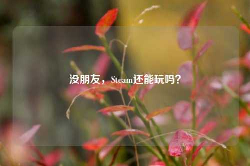 没朋友，Steam还能玩吗？