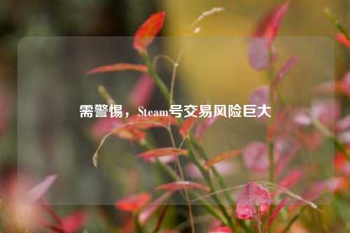 需警惕，Steam号交易风险巨大