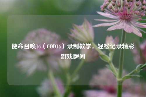使命召唤16（COD16）录制教学，轻松记录精彩游戏瞬间