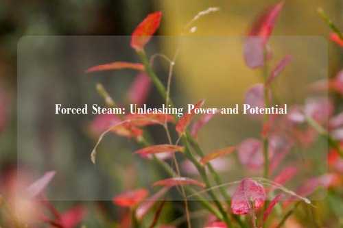 Forced Steam: Unleashing Power and Potential