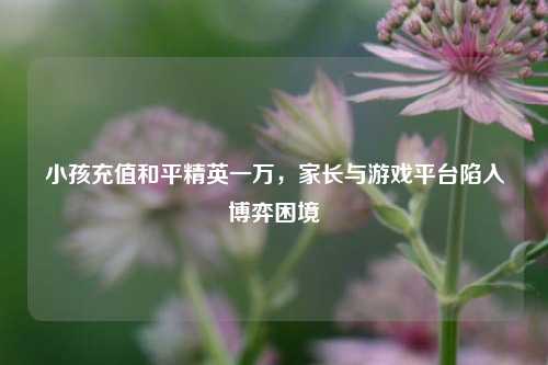 小孩充值和平精英一万,家长与游戏平台陷入博弈困境