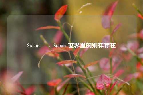 Steam 仌,Steam 世界里的别样存在